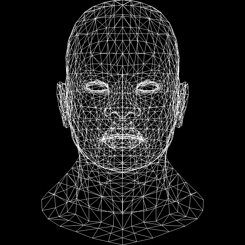 wireframe render of african_head.obj